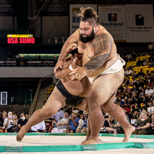 Sumo wrestling grand champion taking talents to CSU Rams football team