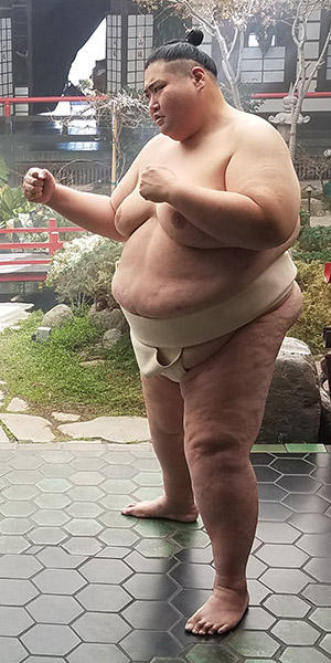 sumo model