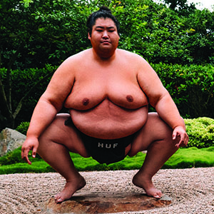 sumo model