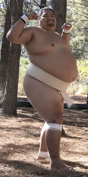 sumo model