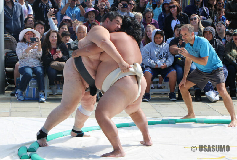 sumo.6184 sumo.6184