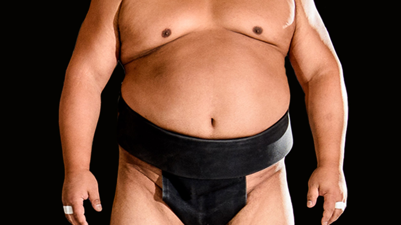 SUMO MODELS