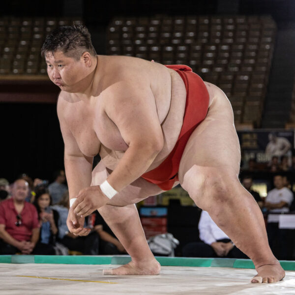 Sumo Wrestler ICHI