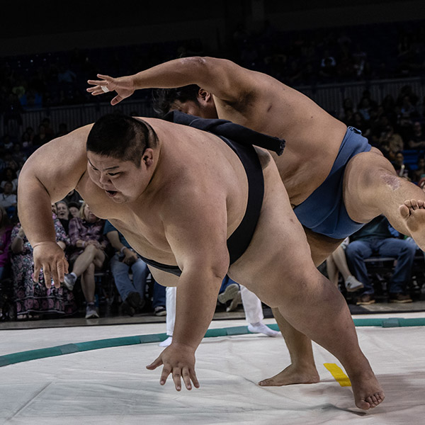 sumosushi sumosushi