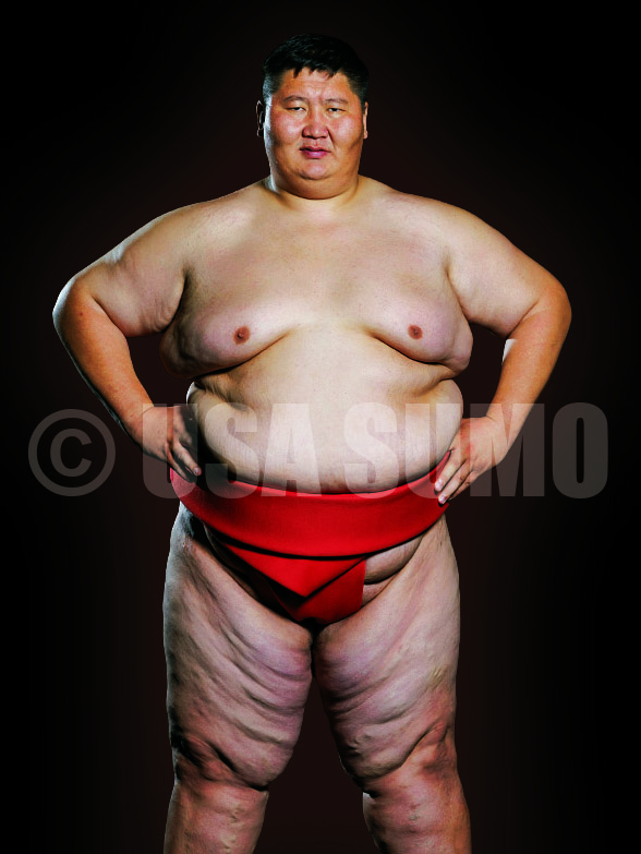 SUMO WRESTLER MODELS - USA SUMO