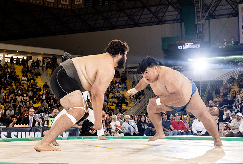amateur sumo