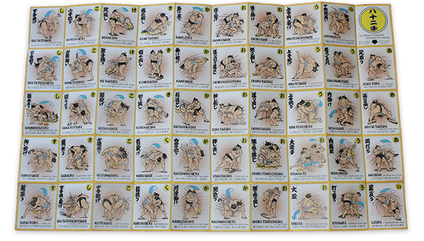 SUMO FAN GOODS - USA SUMO
