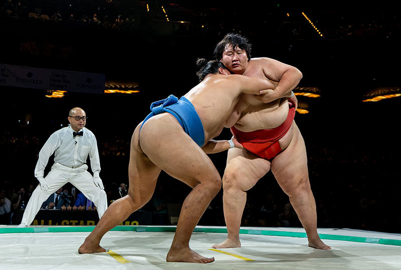 sumo demo